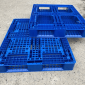 Tìm hiểu về pallet nhựa cũ và lý do nên mua pallet nhựa cũ Tìm hiểu về pallet nhựa cũ và lý do nên mua pallet nhựa cũ